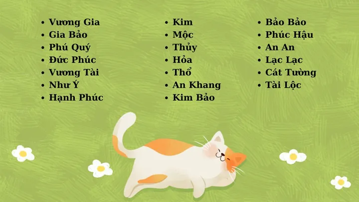 Có Nên Đặt Tên Mèo Quá Dài Hoặc Trùng Với Tên Người Trong Gia Đình Không?