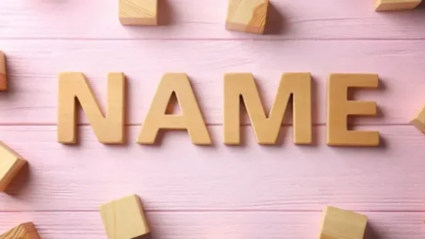Đặt Tên Cho Mèo Con: Gợi Ý Top 500+ Biệt Danh Hay, Ý Nghĩa Và Độc Lạ Nhất