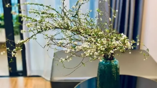 Ý Nghĩa Tên Hoa Là Gì? Gợi Ý Tổng Hợp Tên Đệm, Tên Tiếng Anh Và Biệt Danh Hay Cho Bé Gái