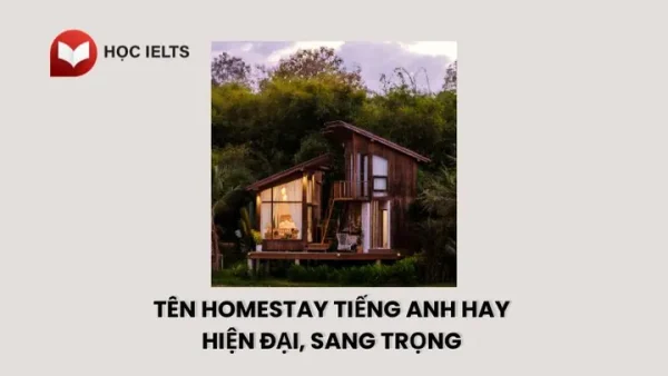 Gợi Ý Cách Đặt Tên Homestay Hay, Ấn Tượng Và Thu Hút Khách Hàng