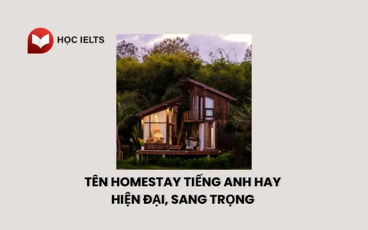 Gợi Ý Cách Đặt Tên Homestay Hay, Ấn Tượng Và Thu Hút Khách Hàng