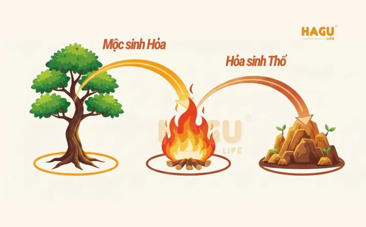 Nguyên Tắc Tương Sinh Tương Khắc Trong Đặt Tên Mệnh Hỏa