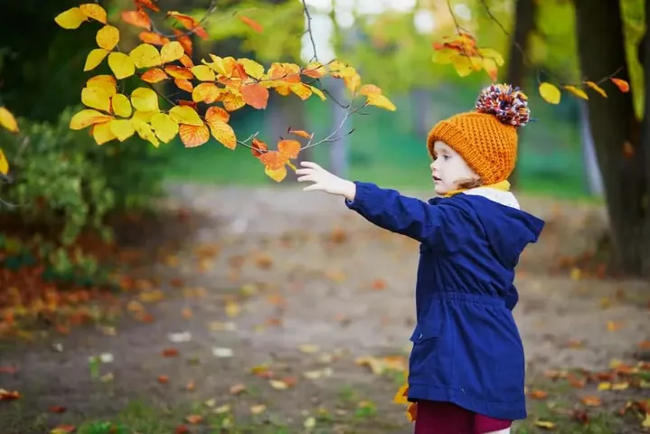 Ý Nghĩa Tâm Linh Và Phước Đức Khi Bé Gái Có Pháp Danh Ý Nghĩa Tâm Linh Và Phước Đức Khi Bé Gái Có Pháp Danh