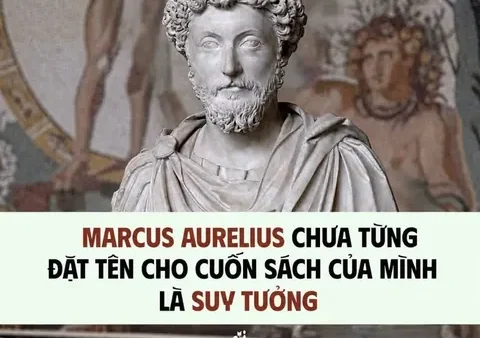 Hướng Dẫn Cách Đặt Tên Sách Hay, Thu Hút Và Sáng Tạo Nhất