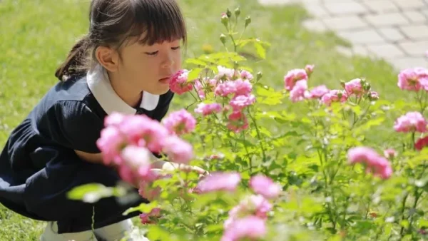 Gợi Ý Danh Sách Các Cách Đặt Tên Theo Tiếng Pháp Hay, Ý Nghĩa Và Sang Trọng Nhất