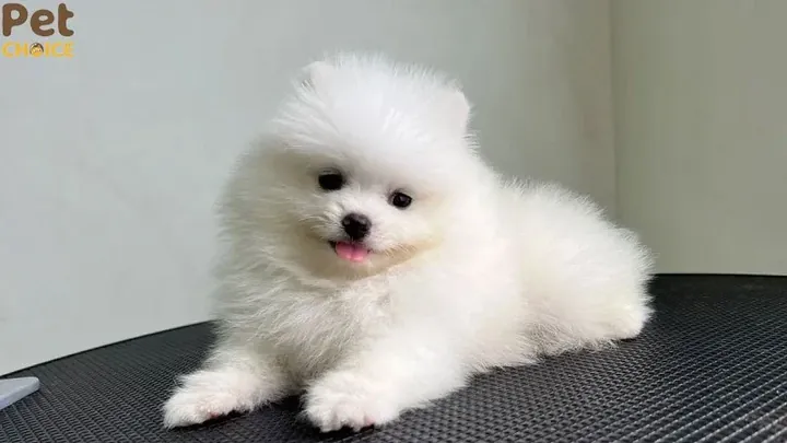 Tổng Hợp Các Nhóm Tên Theo Tính Cách Thông Minh Và Sáng Tạo Tổng Hợp Các Nhóm Tên Theo Tính Cách Thông Minh Và Sáng Tạo