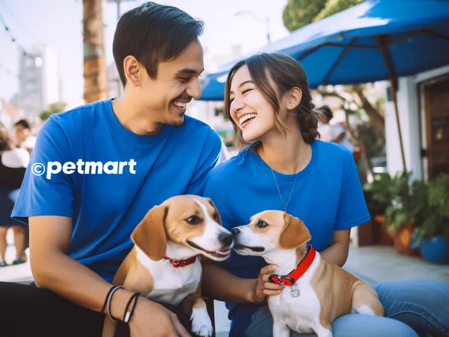 Cách Đặt Tên Tiếng Anh Cho Chó Cưng Hay, Ý Nghĩa Và Không Đụng Hàng Cách Đặt Tên Tiếng Anh Cho Chó Cưng Hay, Ý Nghĩa Và Không Đụng Hàng