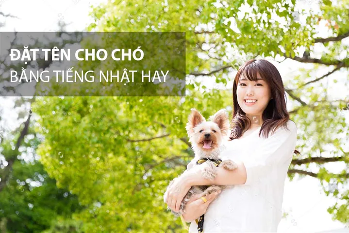 Cách Đặt Tên Tiếng Anh Cho Chó Cưng Hay, Ý Nghĩa Và Không Đụng Hàng Cách Đặt Tên Tiếng Anh Cho Chó Cưng Hay, Ý Nghĩa Và Không Đụng Hàng
