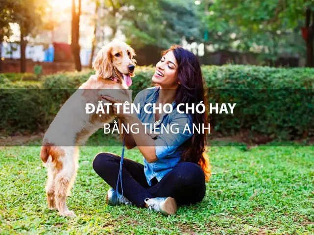 Cách Đặt Tên Tiếng Anh Cho Chó Cưng Hay, Ý Nghĩa Và Không Đụng Hàng Cách Đặt Tên Tiếng Anh Cho Chó Cưng Hay, Ý Nghĩa Và Không Đụng Hàng