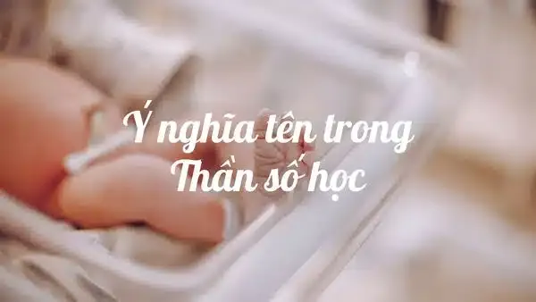 Có Nên Kết Hợp Tra Cứu Thần Số Học Và Phong Thủy Khi Đặt Tên Không?