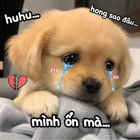 Làm Thế Nào Để Đặt Tên Con Họ Thân Hợp Âm Luật Bằng Trắc?