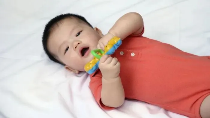 Tôn Bảo Long: Biểu Tượng Của Sự Quyền Quý, Thông Minh Tài Trí Và Khí Chất Hơn Người Tôn Bảo Long: Biểu Tượng Của Sự Quyền Quý, Thông Minh Tài Trí Và Khí Chất Hơn Người