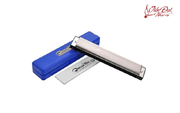 Người Chơi Ngậm Trực Tiếp Phần Đầu Kèn Harmonica Vào Vùng Miệng Người Chơi Ngậm Trực Tiếp Phần Đầu Kèn Harmonica Vào Vùng Miệng