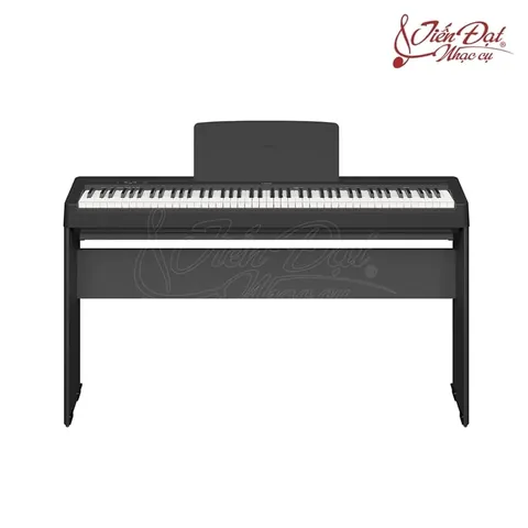 Kèn Harmonica Được Chế Tác Từ Những Chất Liệu Nào Phổ Biến? Kèn Harmonica Được Chế Tác Từ Những Chất Liệu Nào Phổ Biến?
