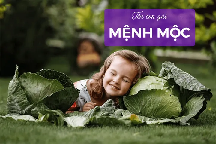 Đặt Tên Khôi Nguyên, Minh Quân Cho Bé Trai Mệnh Mộc Mang Ý Nghĩa Gì?