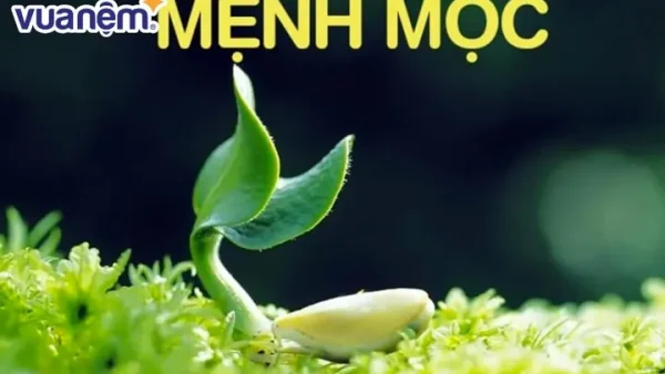 Tên Mệnh Mộc Hay Và Ý Nghĩa Cho Bé Trai, Bé Gái Hợp Phong Thủy