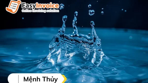 Cẩm Nang Phong Thủy Đặt Tên Công Ty: Bí Quyết Hút Tài Lộc Và Vận May