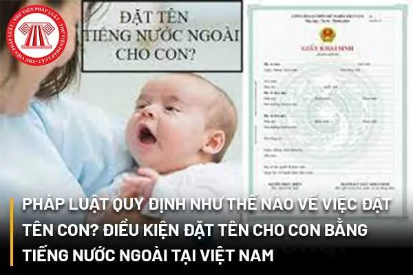 Việc Đặt Họ Cho Con Theo Họ Cha Hay Họ Mẹ Được Quyết Định Ra Sao? Việc Đặt Họ Cho Con Theo Họ Cha Hay Họ Mẹ Được Quyết Định Ra Sao?