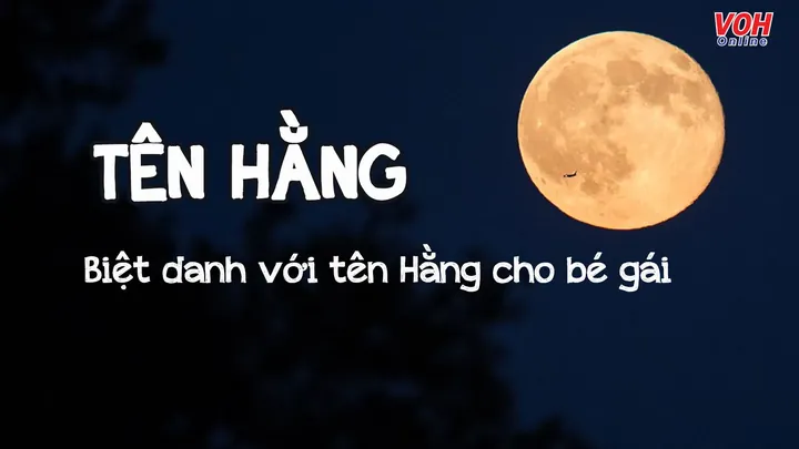 Tên Facebook Hay Cho Người Tên Hằng Theo Phong Cách Ngầu Và Cá Tính