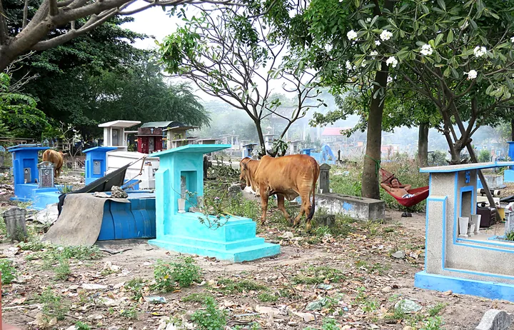 Thành Hưng Hóa Là Gì Và Có Vị Trí Như Thế Nào Trong Lịch Sử? Thành Hưng Hóa Là Gì Và Có Vị Trí Như Thế Nào Trong Lịch Sử?