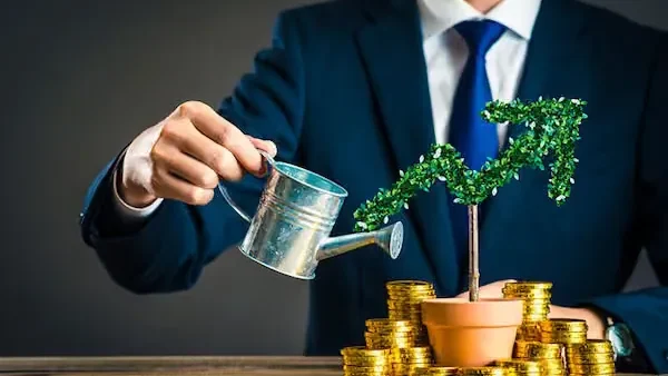 Timo Là Gì Và Có Ý Nghĩa Gì? Giải Đáp Chi Tiết Từ Tên Gọi Đến Các Lĩnh Vực Phổ Biến