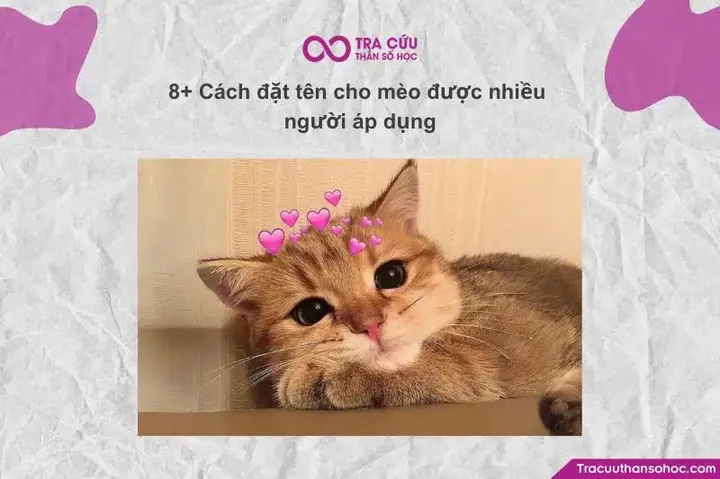 Bước 3: Tích Hợp Tứ Trụ Để Bù Đắp Những Thiếu Hụt Cá Nhân Trong Bản Mệnh Trẻ