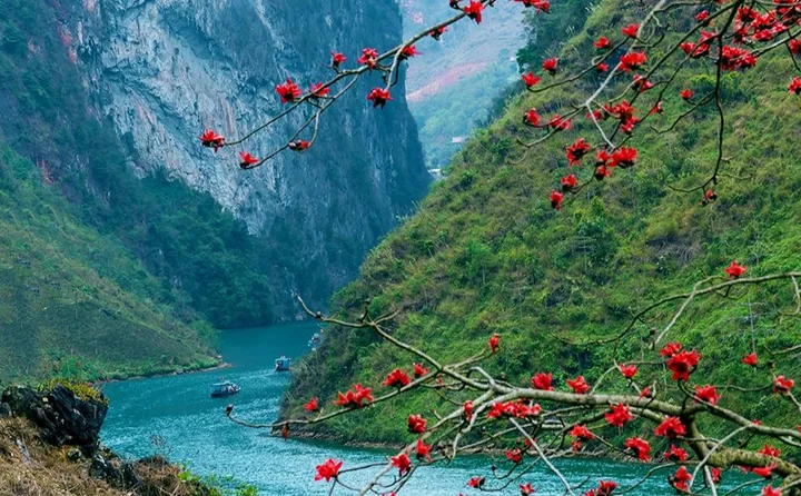 Câu Hỏi Trắc Nghiệm Phần Tìm Hiểu Chung Về Tác Giả Và Tác Phẩm Là Gì? Câu Hỏi Trắc Nghiệm Phần Tìm Hiểu Chung Về Tác Giả Và Tác Phẩm Là Gì?