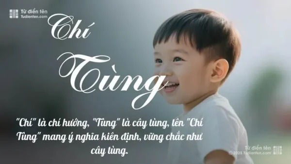 Tên Tùng Chi Có Ý Nghĩa Gì? Giải Mã Ý Nghĩa, Phong Thủy Và Thần Số Học
