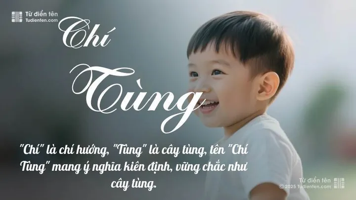 Tên Tùng Chi Có Ý Nghĩa Gì? Giải Mã Ý Nghĩa, Phong Thủy Và Thần Số Học
