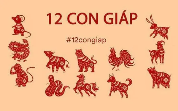 Bước 1: Xác Định Cung Mệnh Ngũ Hành Dựa Trên Năm Sinh Của Chủ Doanh Nghiệp