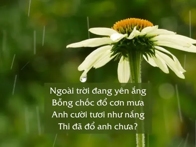 Giới Tính Và Cảm Nhận Thường Dùng Giới Tính Và Cảm Nhận Thường Dùng