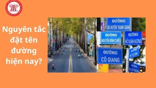 Ý Nghĩa Của Việc Đặt Tên Đường Phố Là Gì Trong Đời Sống Văn Hóa Đô Thị Hiện Đại?