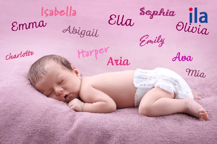 Tên Abigail Có Ý Nghĩa Gì Và Bắt Nguồn Từ Đâu? Tên Abigail Có Ý Nghĩa Gì Và Bắt Nguồn Từ Đâu?