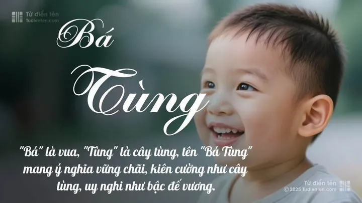 Tên Bá Tùng Có Ý Nghĩa Gì Theo Từ Điển Hán - Việt?
