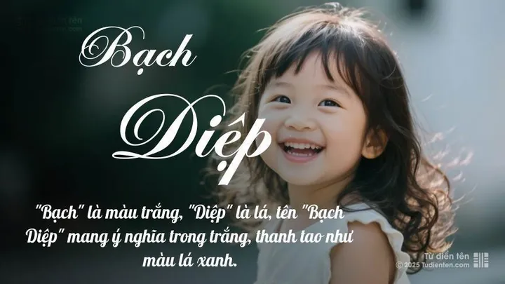 Góc Nhìn Thần Số Học Về Người Mang Tên Bách Diệp Góc Nhìn Thần Số Học Về Người Mang Tên Bách Diệp