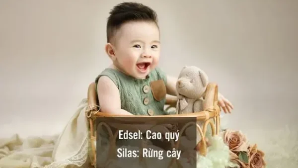 Ý Nghĩa Tên Bách Du Là Gì? Phân Tích Chi Tiết Ý Nghĩa, Phong Thủy Và Gợi Ý Cách Đặt Tên Cho Bé Trai