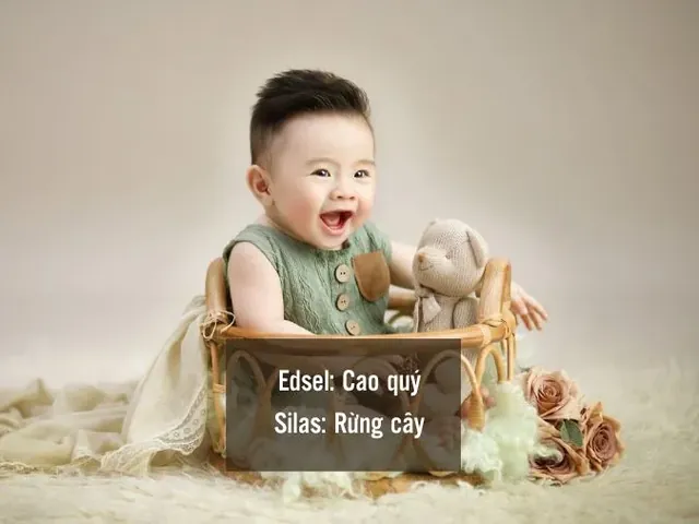 Ý Nghĩa Tên Bách Du Là Gì? Phân Tích Chi Tiết Ý Nghĩa, Phong Thủy Và Gợi Ý Cách Đặt Tên Cho Bé Trai