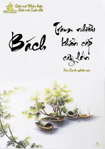 Ý Nghĩa Tên Bạch Tử Họa Là Gì? Giải Mã Nguồn Gốc, Phong Thủy Và Sức Hút