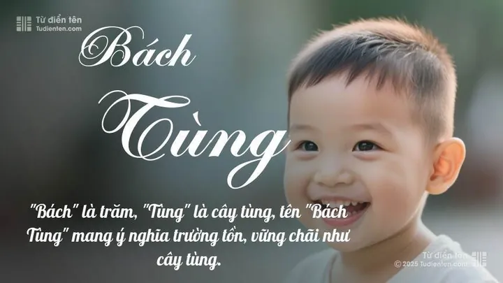 Phân Tích Ý Nghĩa Tên Bách Theo Từ Điển Hán Việt Phân Tích Ý Nghĩa Tên Bách Theo Từ Điển Hán Việt