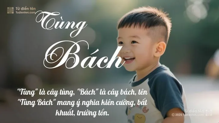 Đánh Giá Tên Bách Tùng Theo Phong Thủy Và Ngũ Hành Đánh Giá Tên Bách Tùng Theo Phong Thủy Và Ngũ Hành