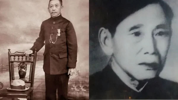 Ý Nghĩa Bài Hát Mèo Hoang Là Gì Và Hoàn Cảnh Sáng Tác Đầy Xót Xa Của Nhạc Sĩ Hàn Châu