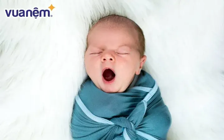 Chữ "di" Mang Lại Thông Điệp Gì Khi Đặt Tên Cho Con Gái?