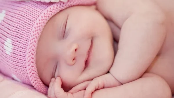 Ý Nghĩa Tên Bào Ngư Là Gì? Giải Mã Nguồn Gốc, Phong Thủy Và Các Lớp Nghĩa Thú Vị