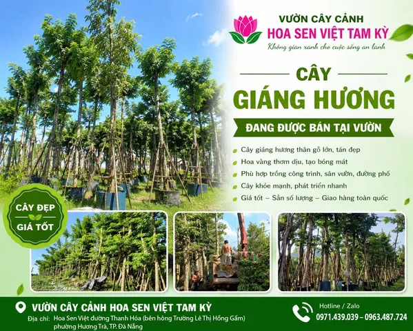 Có Những Tên Đệm Nào Khác Có Thể Kết Hợp Với Chữ Nhiên Ngoài Chữ Bảo? Có Những Tên Đệm Nào Khác Có Thể Kết Hợp Với Chữ Nhiên Ngoài Chữ Bảo?
