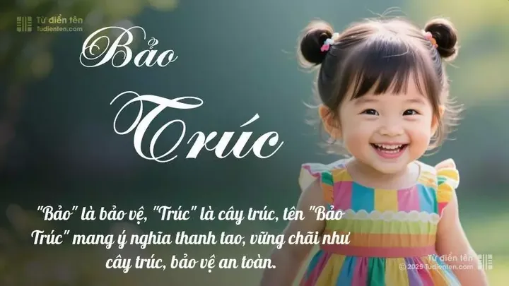 Ý Nghĩa Tên Bảo Trúc Là Gì? Khám Phá Phong Thủy, Tính Cách Và Bộ Tên Đệm Hay Nhất
