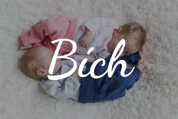 Ý Nghĩa Tên Bích Là Gì? Khám Phá Hán Việt, Phong Thủy Và Gợi Ý Tên Đệm Hay