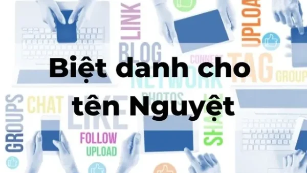Tên Bích Nguyệt Có Ý Nghĩa Gì? Giải Mã Vẻ Đẹp, Phong Thủy Và Thần Số Học