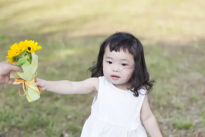 Ý Nghĩa Tên Linh Sam Theo Phong Thủy Hiện Đại
