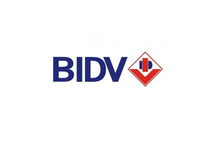 Biểu Tượng Hoa Mai Vàng Và Ngôi Sao Trên Logo Mang Thông Điệp Gì?