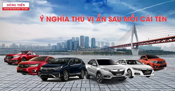 Ý Nghĩa Tên Bình Định Là Gì? Khám Phá Nguồn Gốc Và Lịch Sử Địa Danh